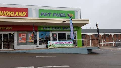 Photo: Pet Fuel